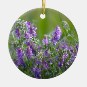 Ornement de photo de fleurs sauvages violettes