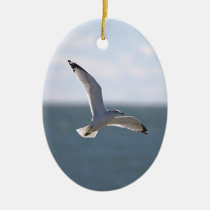Ornement de photo de mouette volant