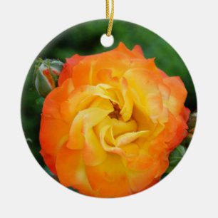 Ornement de photo de rose