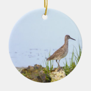 Ornement de photo d'oiseau
