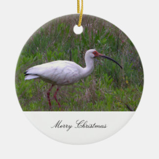 Ornement de photo d'oiseau Ibis