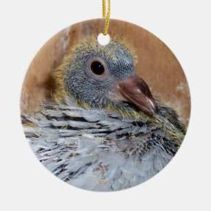 Ornement de pigeon voyageur de bébé