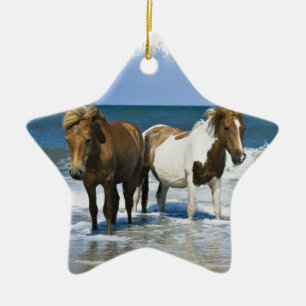 Ornement de plage de cheval