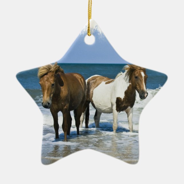 Ornement de plage de cheval (Devant)