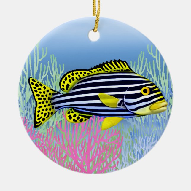 Ornement de poisson de la côte orientale du récif  (Devant)