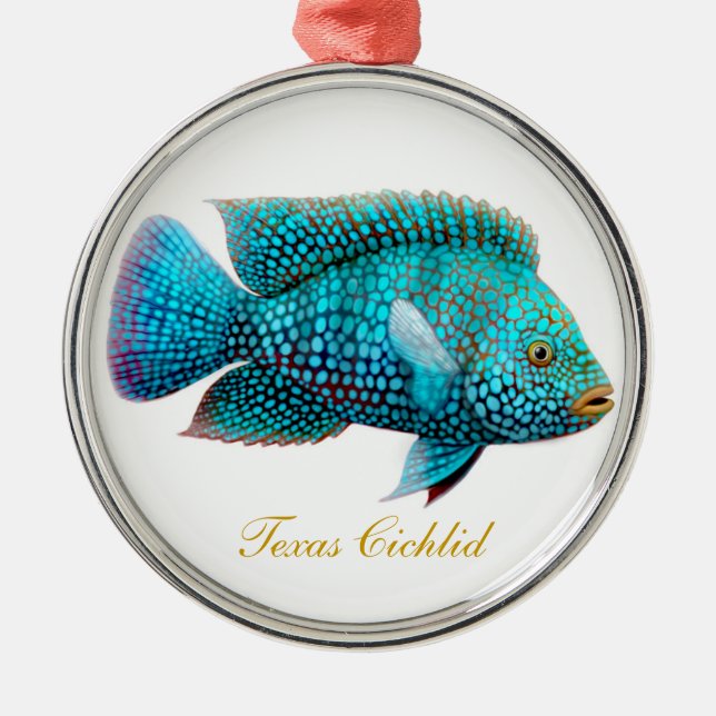 Ornement de poissons d'aquarium de Carpintis de (Devant)