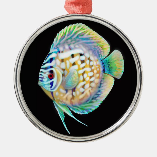 Ornement de poissons d'aquarium de Cichlid de (Devant)