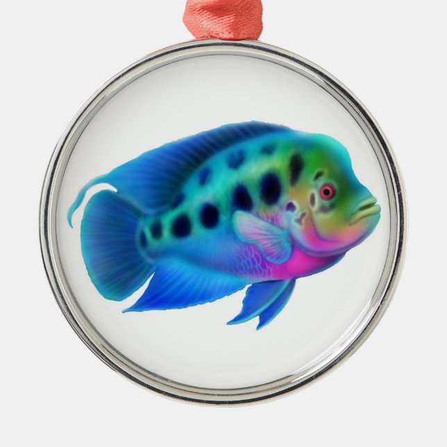 Ornement de poissons d'aquarium de Cichlid de (Devant)