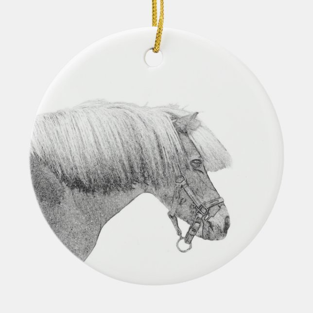 Ornement de pony (Devant)