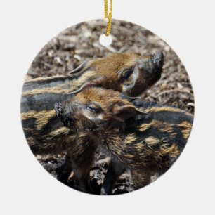 Ornement de porc de la rivière rouge