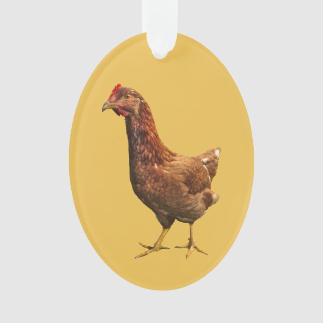 Ornement de poulet de poule de rouge d'île de (devant)