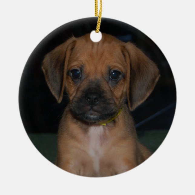 ornement de puggle (Devant)