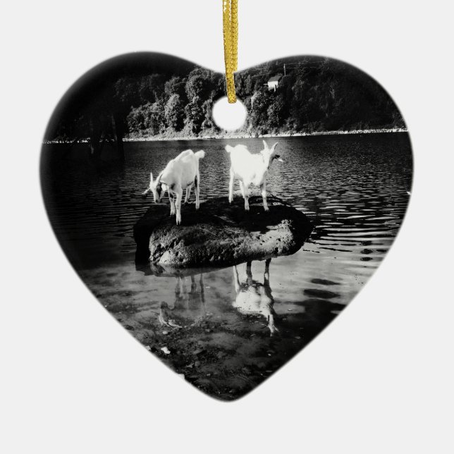 Ornement de puissance de chèvre (Devant)