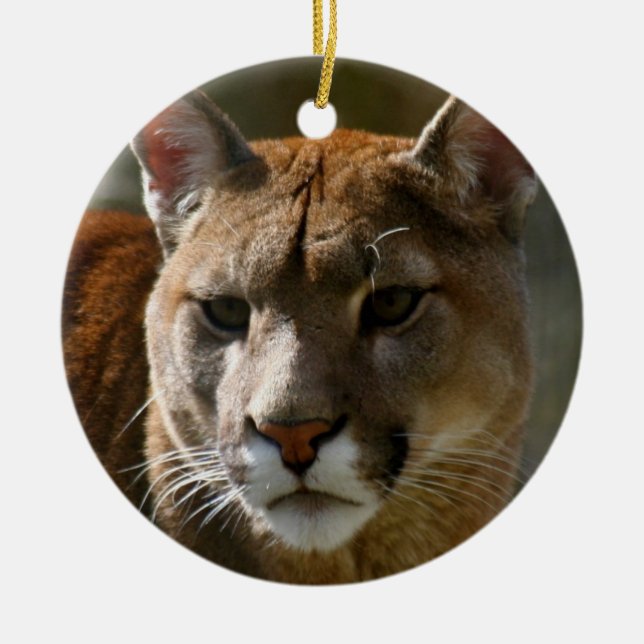 Ornement de puma (Devant)