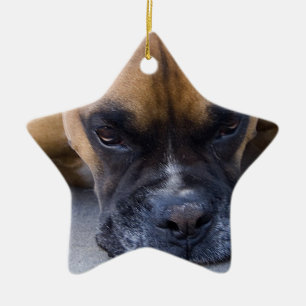 Ornement de repos de chien de boxeur