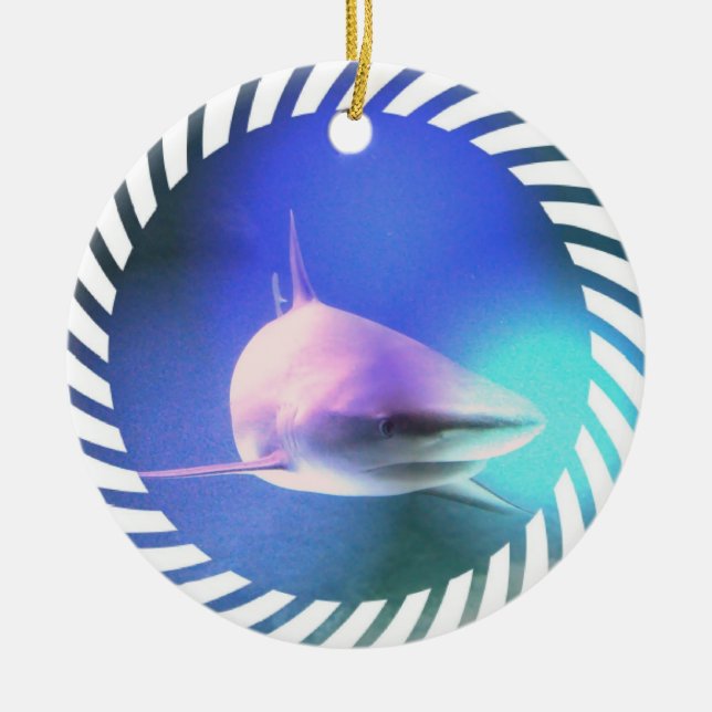 Ornement de requin (Devant)