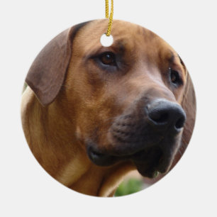 Ornement de Rhodesian Ridgeback