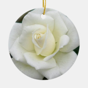 Ornement de rose blanc
