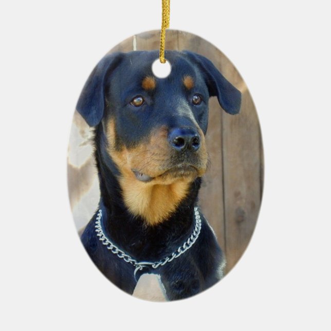 Ornement de rottweiler (Devant)