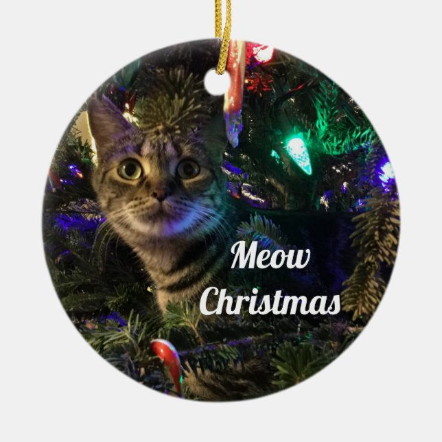 Ornement de sapin de Noël Chat tigré (Devant)