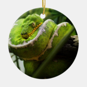 Ornement de serpent d'arbre