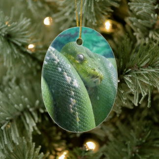 Ornement de serpent de la forêt tropicale