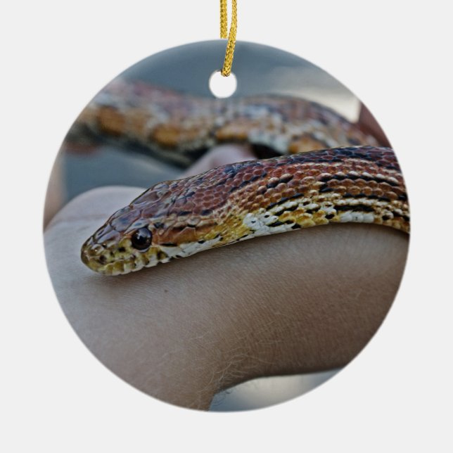 ORNEMENT DE SERPENT DE MAÏS (Devant)