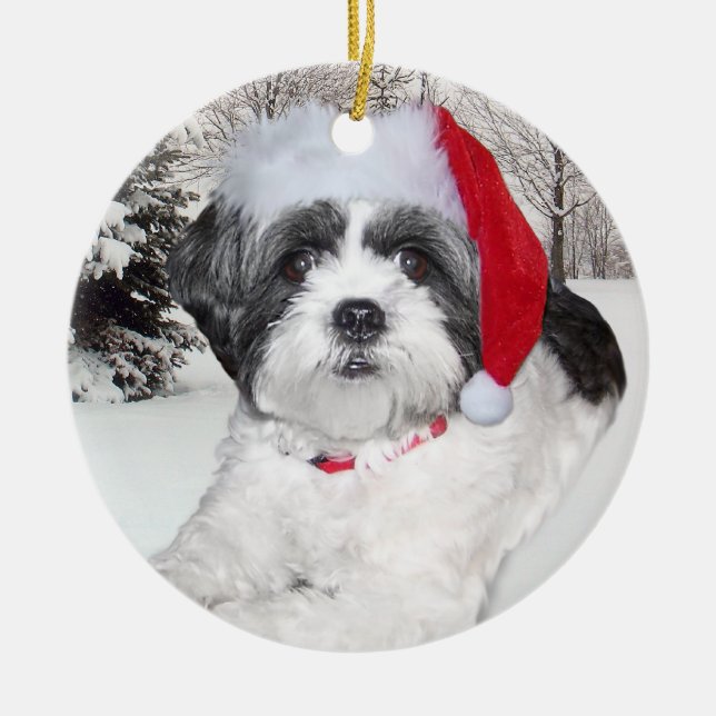 Ornement de Shih Tzu de Noël (Devant)