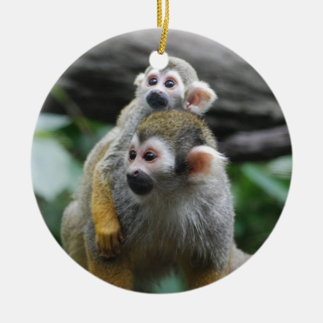 Ornement de singe-écureuil de bébé (Devant)