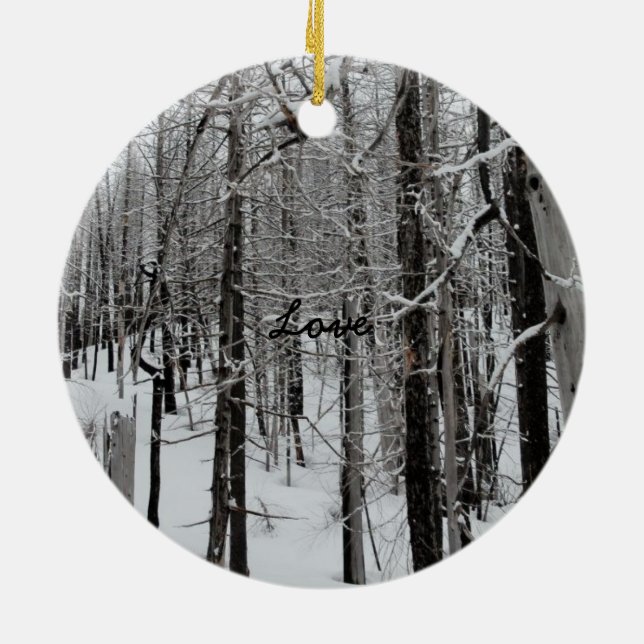 Ornement de ski d'hiver/Noël d'amour (Dos)