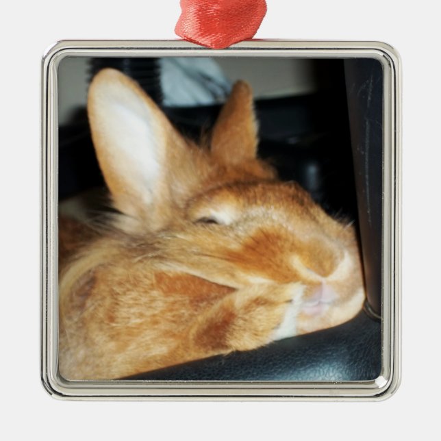 Ornement de sourire désapprobateur de lapin (Devant)