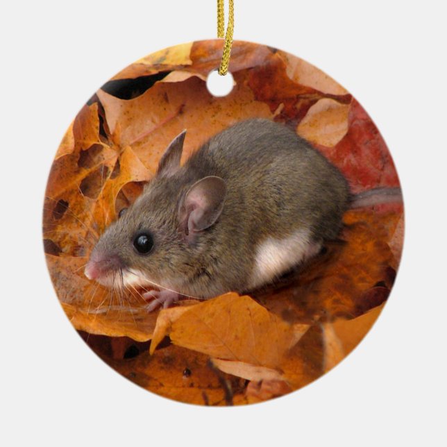 Ornement de souris de Noël (Devant)