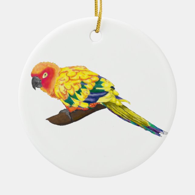 Ornement de Sun Conure (Devant)