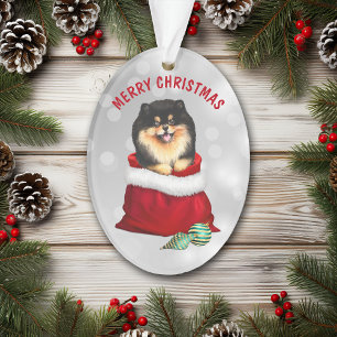 Ornement de surprise Tan noir Pomeranien cadeau
