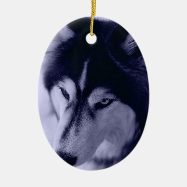 Ornement de teint bleu Husky Sibérien (Devant)