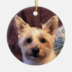 Ornement de Terrier de cairn