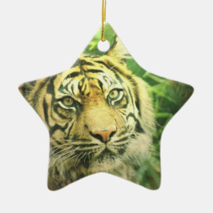 Ornement de tigre sibérien