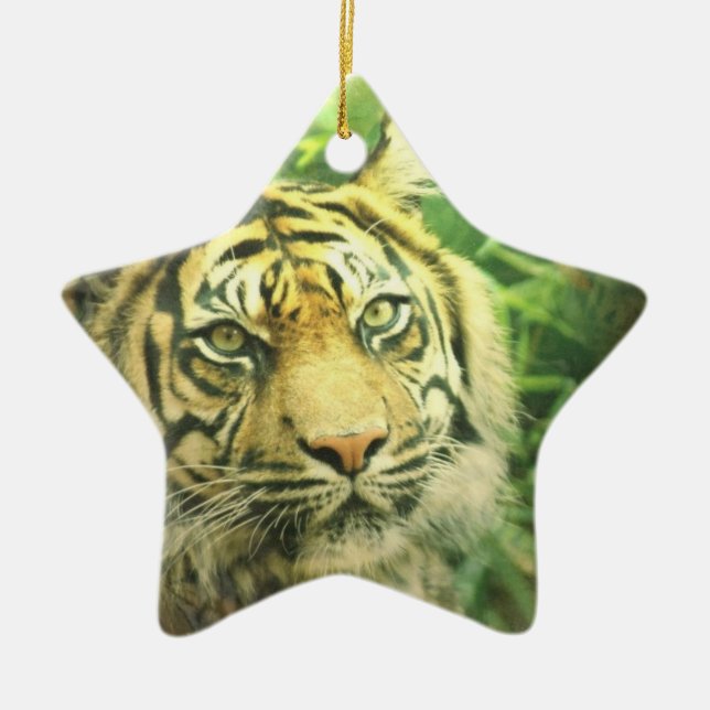 Ornement de tigre sibérien (Devant)