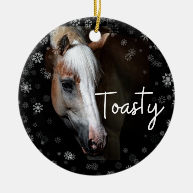 Ornement de toasty (Devant)