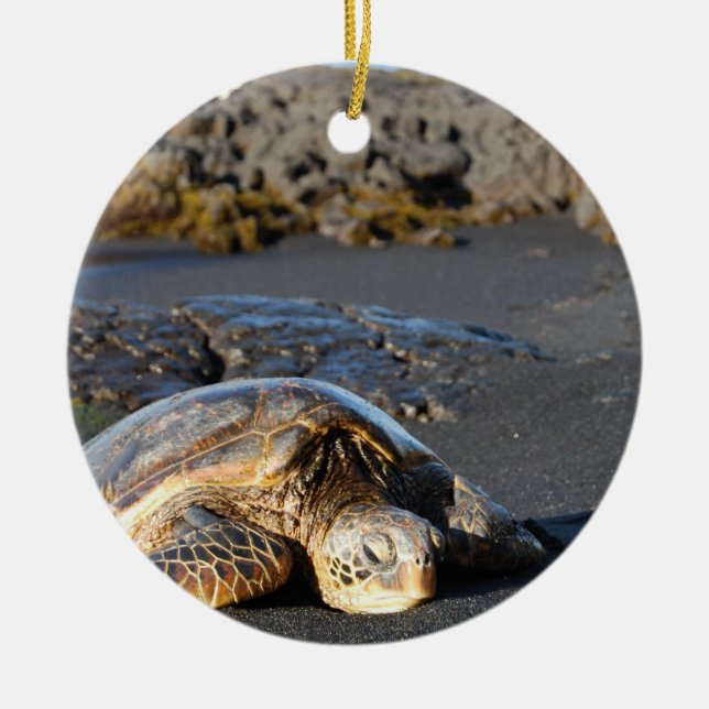 Ornement de tortue de mer (Devant)