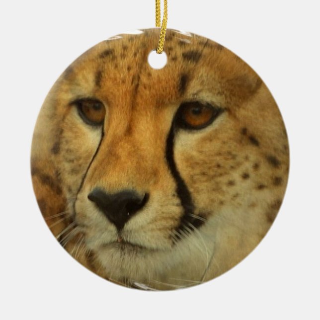 Ornement de visage de guépard (Devant)
