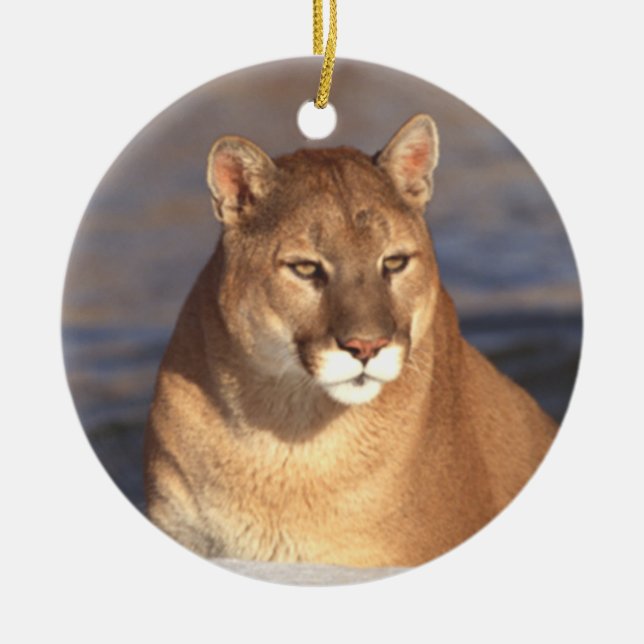 Ornement de visage de puma (Devant)