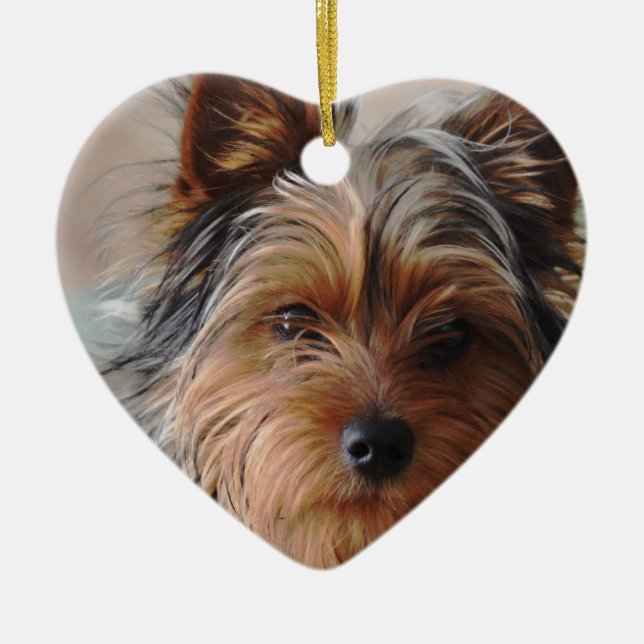 Ornement de Yorkie Terrier (Devant)