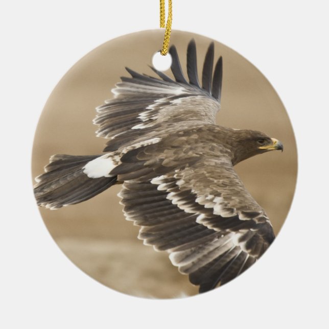 Ornement d'Eagle de vol (Devant)