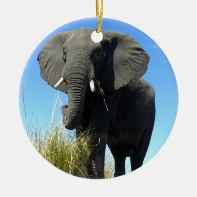 Ornement d'éléphant africain (Devant)