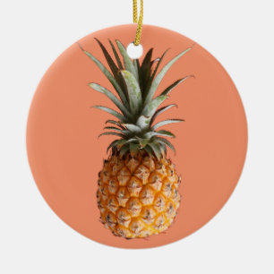 Ornement délicieux génial de cercle d'ananas