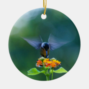 Ornement des ailes de l'ange des colibris