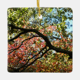 Ornement des couleurs d'automne