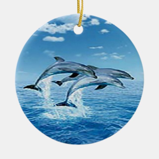 Ornement des dauphins d'air (Devant)