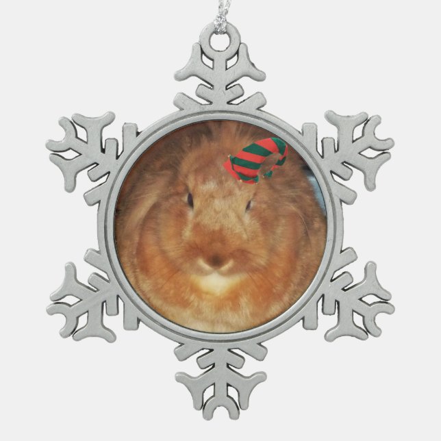 Ornement désapprobateur de lapin (Devant)